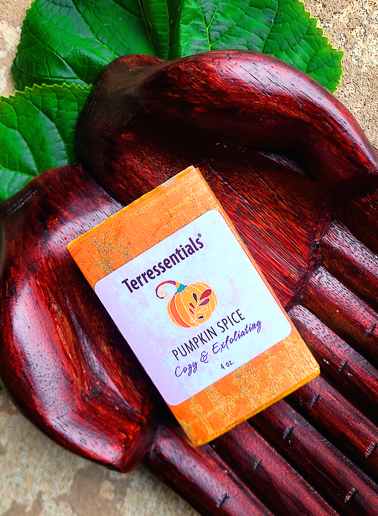 Seasonal Special! Pumpkin Spice Bar Soap