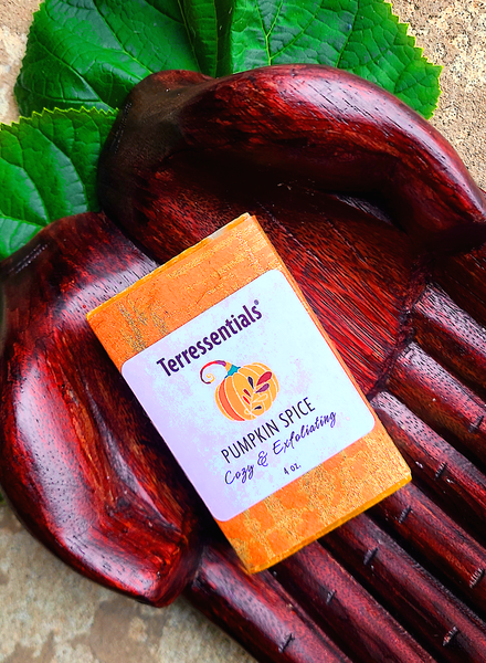 Seasonal Special! Pumpkin Spice Bar Soap