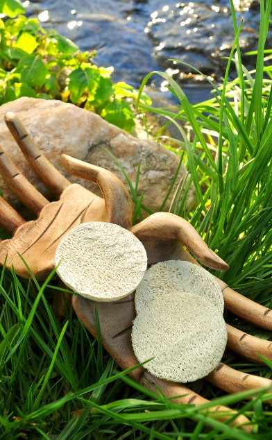Loofah Complexion Rounds