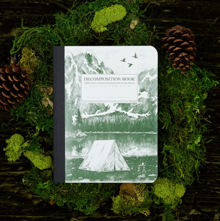 Mountain Lake Decomposition Notebook